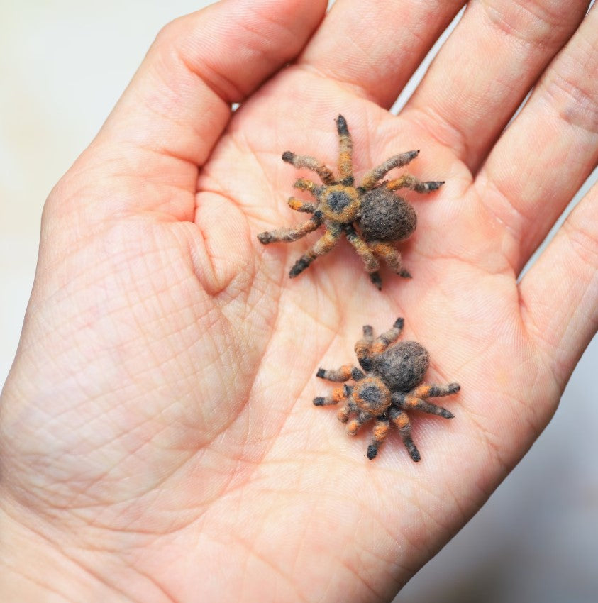 Crochet Tarantula Pattern