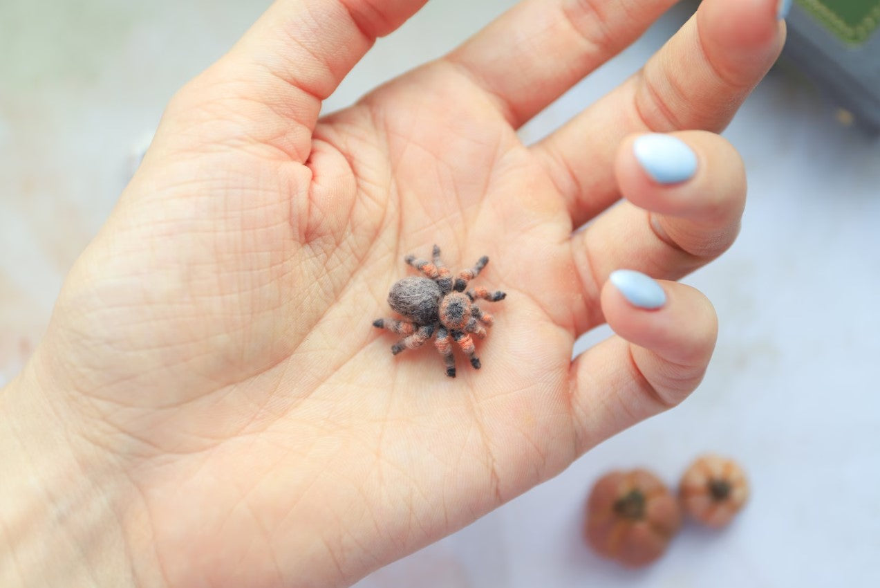 Crochet Tarantula Pattern